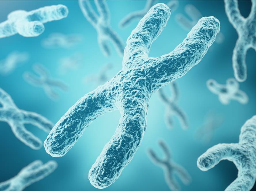 胚胎筛查升级方案